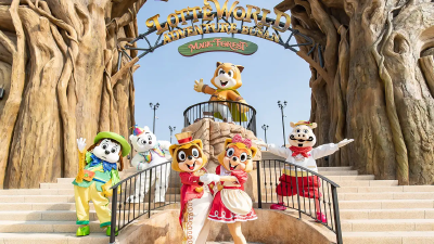 ✨Option 3: Lotte World & Outlet Experience