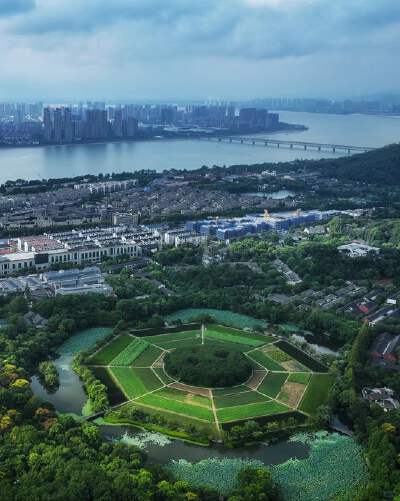Bagua Field
