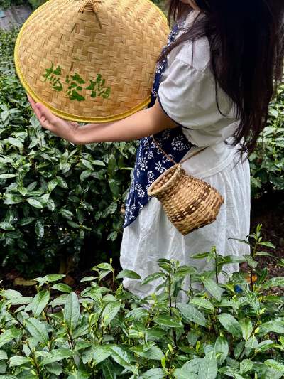 Meiwu Tea Town
