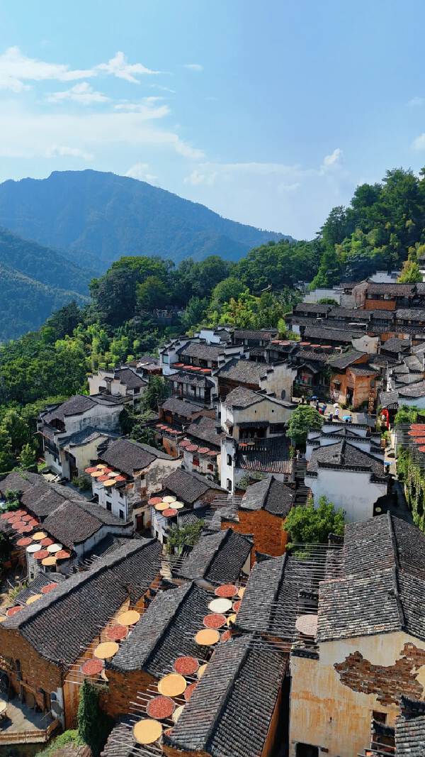 WUYUAN -(4H)- HANGZHOU