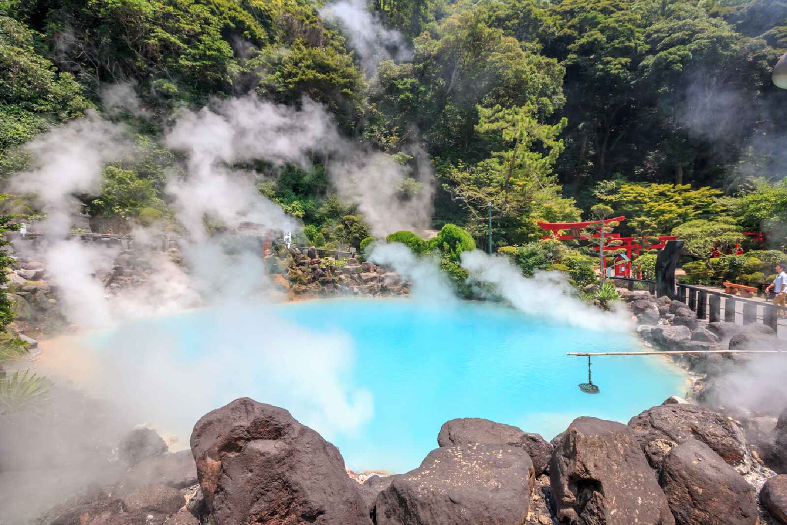 9D7N Scenic Kyushu