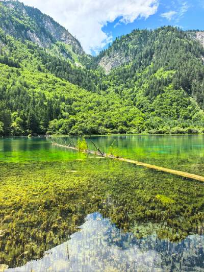 Jiuzhaigou (including shuttle bus ticket)