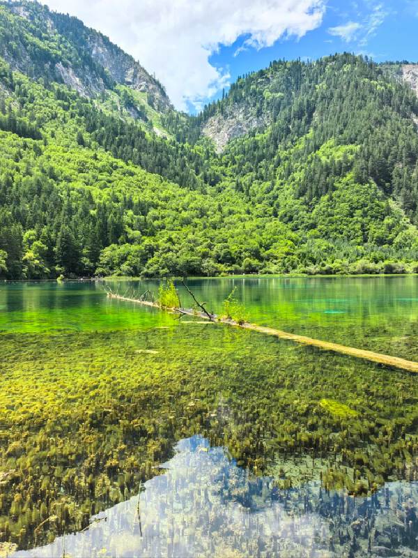 Jiuzhaigou