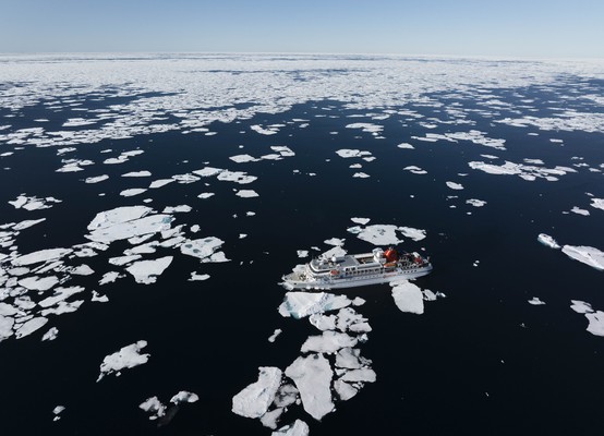 Arctic