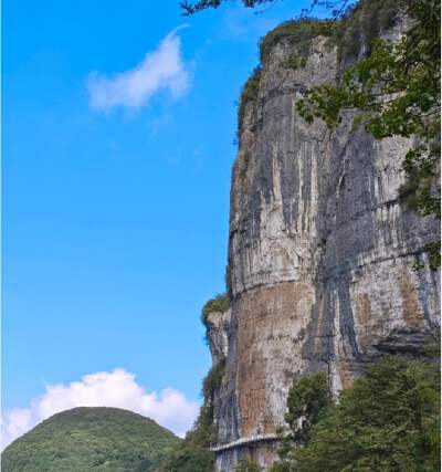 Jinfo Mountain (Including eco-shuttle and round-trip cable  car)