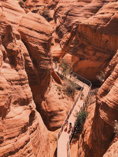 Wave Valley Grand Canyon Scenic Area ( Includes glass bridge )