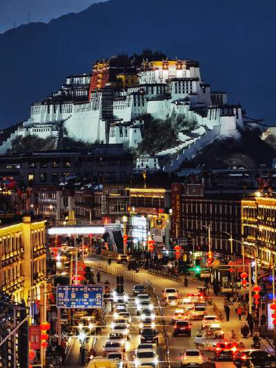 Potala Palace Square Night View