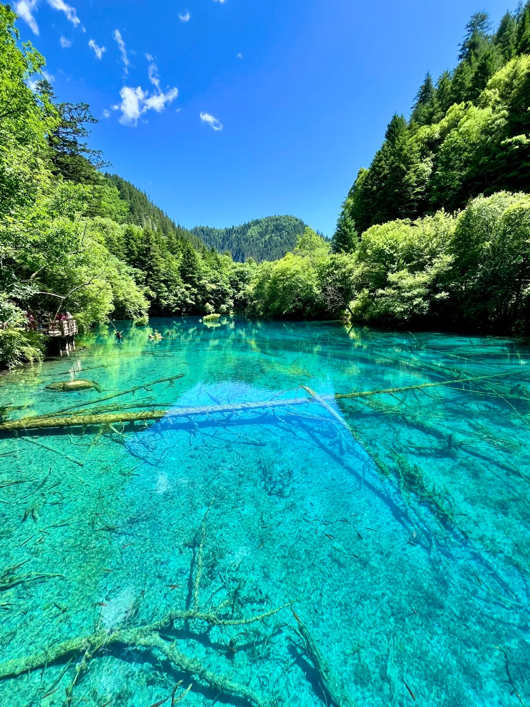 Altitude by Webuy - Travel Elevated | Premium Travel Experiences