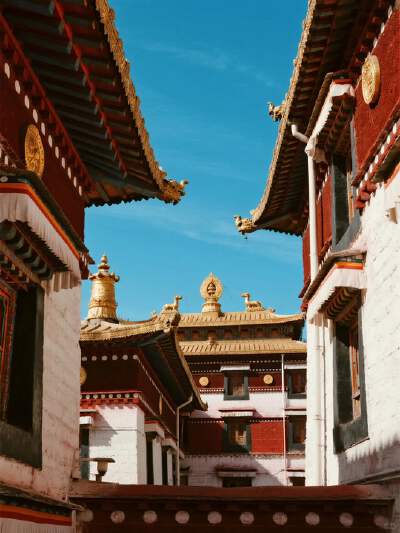 Sera Monastery (Mon-Sat, 3 PM - 5 PM for debate)