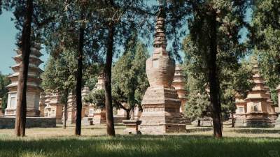 Pagoda Forest