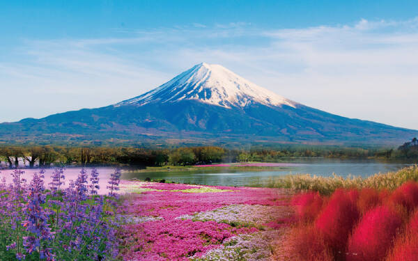 TOKYO - MT FUJI