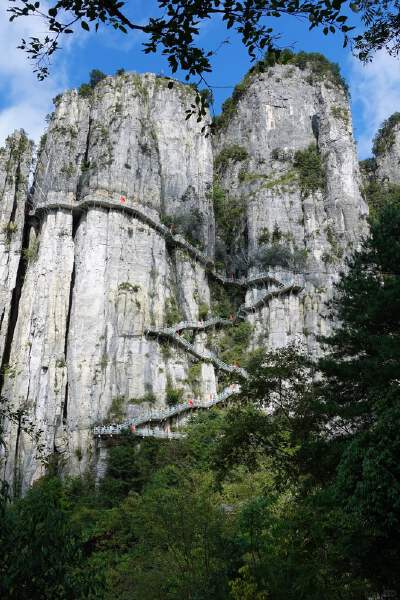 Qixingzhai Scenic Area (Includes eco-friendly shuttle bus, ground cable car, uphill cableway, and downhill escalator)