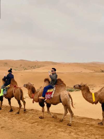 Camel Riding Experience