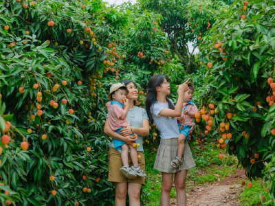Seasonal Fruit-Picking Experience