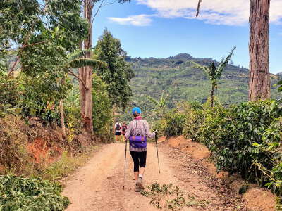 Yungong Coffee Estate and Millennial Bodhi Tree