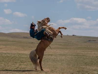 Horse Riding (Optional one hour $20per paxs)