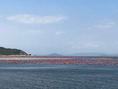 Oyster-Raft Sea Experience