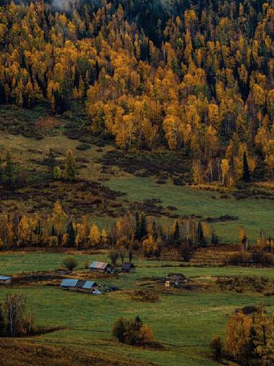 Kanas Nature Reserve (includes shuttle bus)