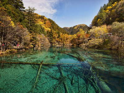 Jiuzhaigou Scenic Area (shuttle included)