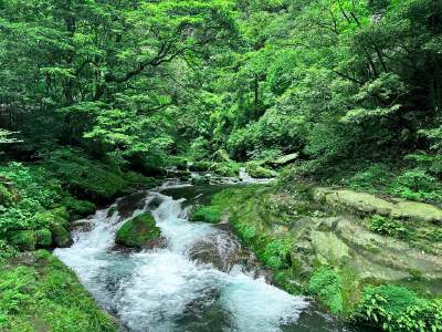Golden Whip Stream & Water Encircles Four Gates