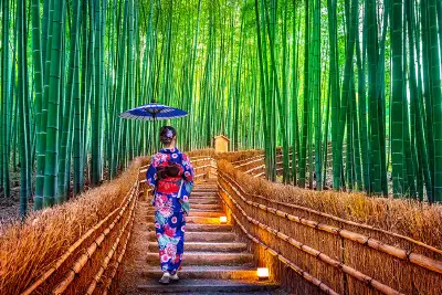 Kyoto Heritage & Culture