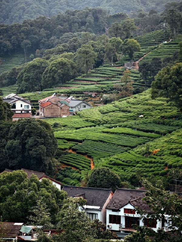 Hangzhou ✈ Singapore