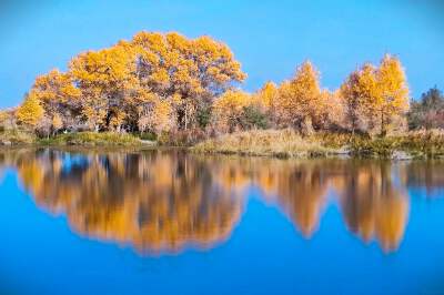 Jinhuyang National Forest Park