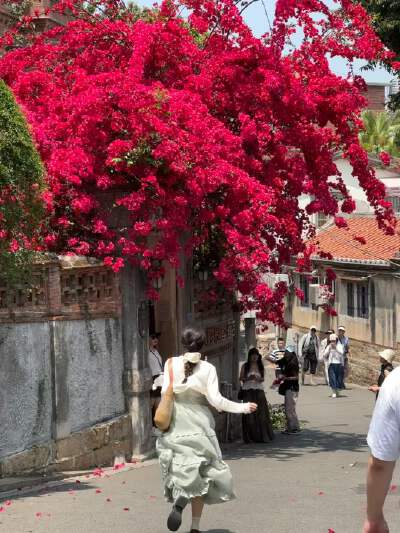 Gulangyu Island (includes electric car transport)