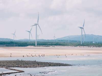 Changjiang’ao Windmill Field