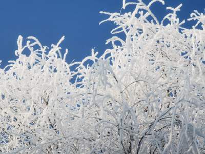 Rime Corridor for Frost Viewing (weather permitting)