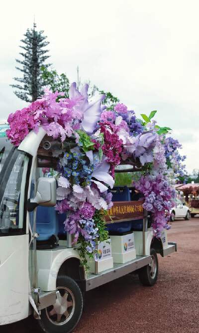 Horse Cart Ride with Music