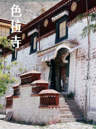 Sera Monastery (Mon-Sat, 3 PM - 5 PM for debate)