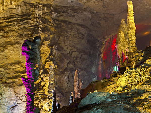 Yellow Dragon Cave > Fruit Picking