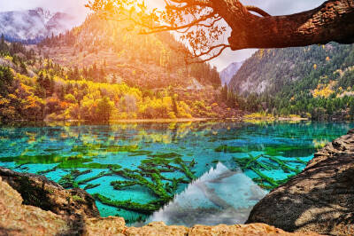 Jiuzhaigou National Park (Including shuttle bus service)