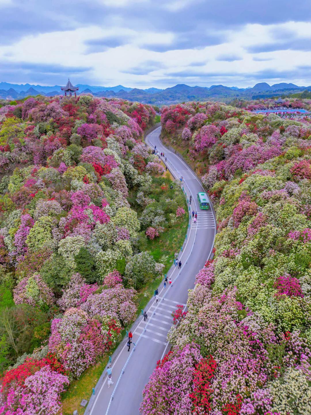 8D7N Flower Season In Guizhou