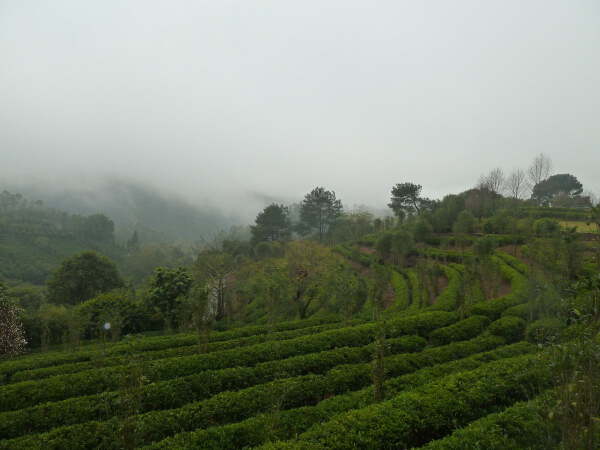 Meizhou to Heyuan