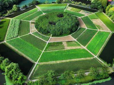 Bagua Field