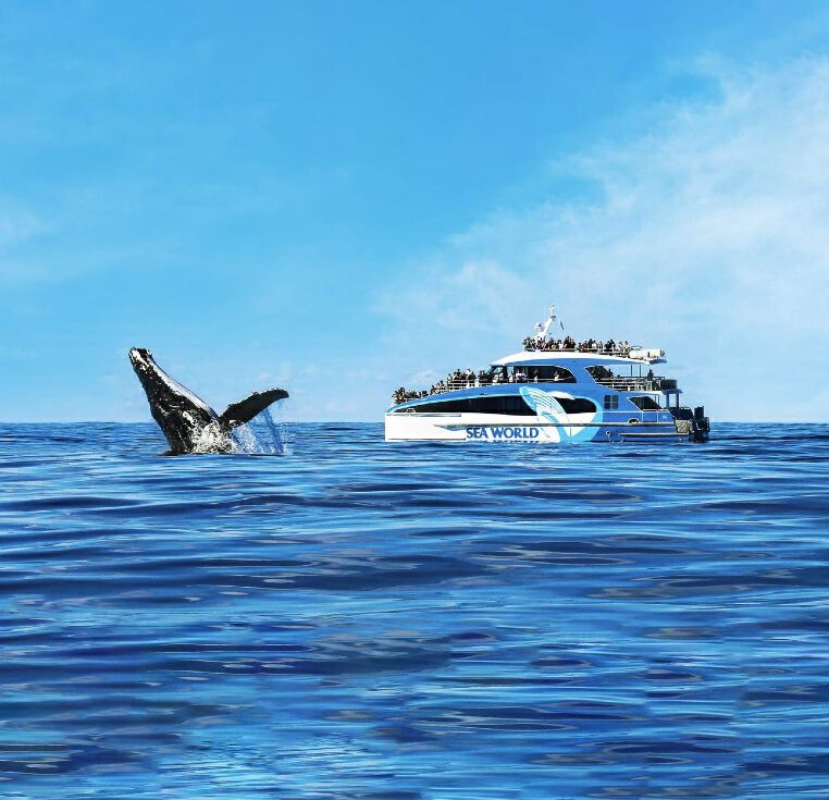 6D5N Taiwan Leisure Escape With Whale Watching