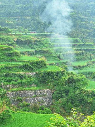Miao Terraced Fields