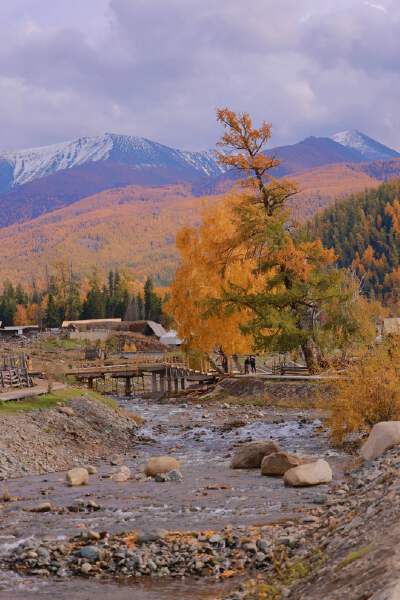 Tuvan Tribe
