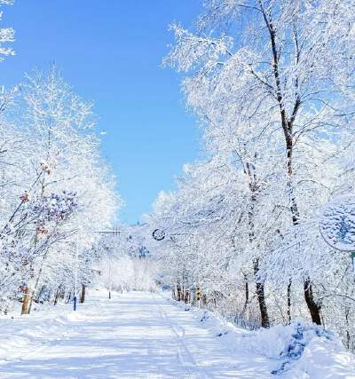 Breathtaking Yabuli-Snow Town Scenic Highway (includes ecofriendly vehicle)