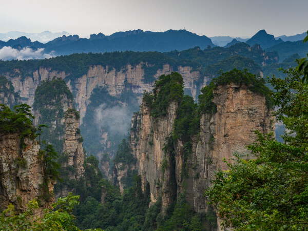 Zhangjiajie National Forest Park > Yuanjiajie