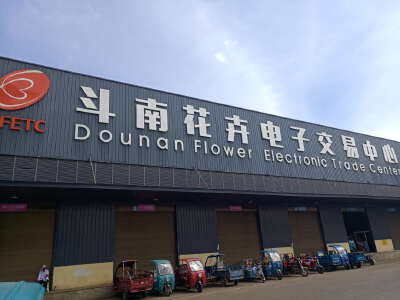 Dounan Flower Market