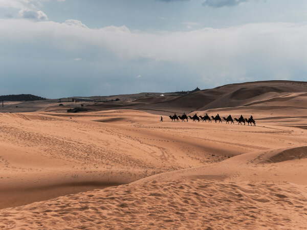 Ordos Grassland > Xiangshawan > Ordos