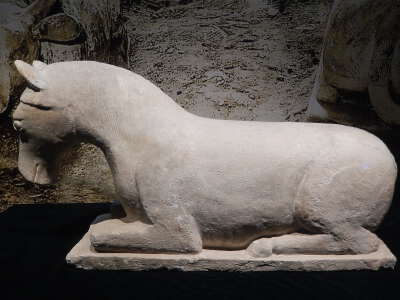 Ningxia Museum
