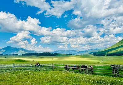 Special Experience
