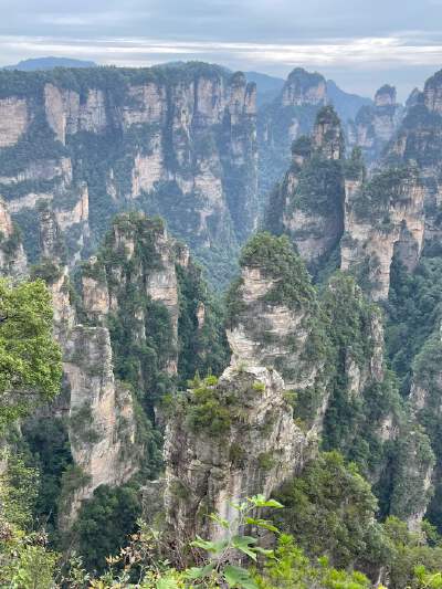 Avatar Filming Location