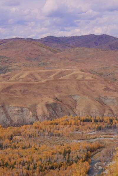 Tuvan Tribe