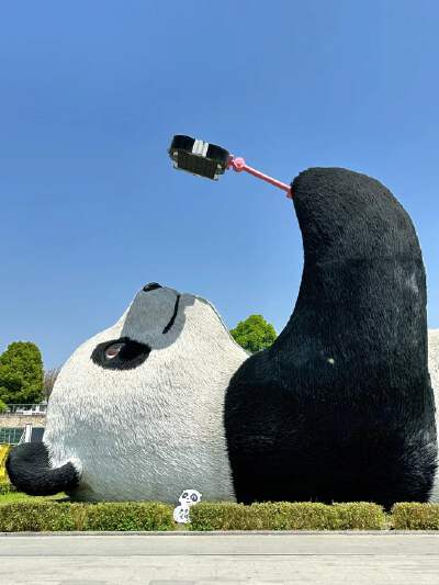 Yangtianwo Panda Square