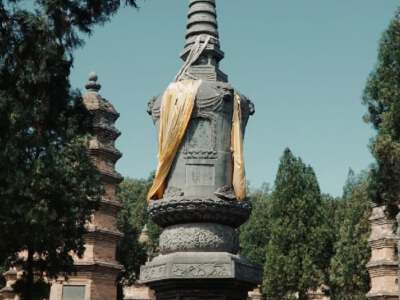 Pagoda Forest